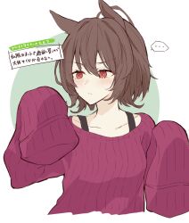 Rule 34 | ..., 1girl, agnes tachyon (umamusume), blush, closed mouth, collarbone, commentary, cropped torso, green background, hair between eyes, highres, long sleeves, purple sweater, red eyes, ri cochet, ribbed sweater, short hair, sleeves past fingers, sleeves past wrists, solo, spoken ellipsis, sweater, translation request, two-tone background, umamusume, upper body, white background