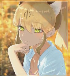 Rule 34 | 10s, 1girl, :3, bad id, bad twitter id, blonde hair, blush, brown hair, collared shirt, commentary request, dnsdltkfkd, head on hand, kemono friends, korean commentary, loose necktie, multicolored hair, necktie, photo-referenced, portrait, puma (kemono friends), puma ears, shirt, short hair, sidelocks, solo, yellow eyes