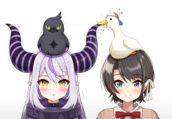 Rule 34 | 2girls, animal, animal on head, artist name, bird, bird on head, biting, blue eyes, blush, bow, bowtie, brown hair, closed mouth, collar, commentary request, crow (la+ darknesss), demon horns, duck, hair ribbon, highres, hololive, holox, horns, la+ darknesss, long hair, looking at viewer, metal collar, multicolored hair, multiple girls, on head, oozora subaru, oozora subaru (casual), parted lips, pointy ears, portrait, purple hair, red bow, red bowtie, ribbon, short hair, silver hair, simple background, smile, sound effects, streaked hair, striped horns, subaru duck, suicabar72, sweat, translation request, virtual youtuber, white background, white ribbon, yellow eyes