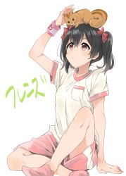 Rule 34 | 10s, 1girl, animal, animal on head, arm support, black hair, bow, chipmunk, commentary request, hair bow, highres, indian style, looking up, love live!, love live! school idol project, musshu (omu001), no shoes, on head, red eyes, shirt, short hair, short sleeves, shorts, simple background, sitting, socks, solo, squirrel, t-shirt, translated, twintails, white background, wristband, yazawa nico