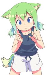 Rule 34 | 1girl, animal ear fluff, animal ears, bare arms, bare shoulders, black tank top, blue eyes, collarbone, commentary request, green hair, hair between eyes, highres, looking at viewer, low twintails, original, roku no hito, short shorts, short twintails, shorts, simple background, solo, standing, tail, tank top, twintails, white background, white shorts