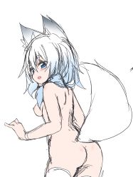 Rule 34 | 1girl, absurdres, animal ears, ass, bad id, bad twitter id, blue eyes, blue hair, breasts, female focus, fox ears, fox tail, from behind, highres, looking back, nipples, niwaka potato, nude, open mouth, original, simple background, sketch, solo, tail, thighhighs, white background
