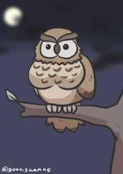 Rule 34 | absurdres, animal, animalization, bird, blurry, blurry background, branch, character request, cloud, depth of field, full moon, goma (gomasamune), highres, looking at viewer, moon, night, night sky, no humans, outdoors, owl, sky, solid circle eyes, thick eyebrows, twitter username, umamusume