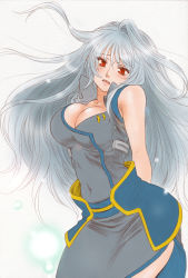 Rule 34 | 1girl, arms behind back, bare shoulders, breasts, cleavage, covered navel, large breasts, long hair, lyrical nanoha, mahou shoujo lyrical nanoha, mahou shoujo lyrical nanoha a&#039;s, red eyes, reinforce, shinanoya (satanicad), silver hair, single hair intake, sleeveless, solo, traditional media