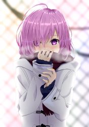 Rule 34 | 1girl, absurdres, ahoge, backlighting, blue sweater, brown scarf, coat, derivative work, eyes visible through hair, fate/grand order, fate (series), hair between eyes, hair over one eye, highres, long sleeves, looking at viewer, mash kyrielight, mash kyrielight (fgo x lawson), official alternate costume, pink hair, purple eyes, ribbed sweater, scarf, scarf over mouth, short hair, solo, sou skate714, standing, steam, sweater, upper body, white coat, winter clothes, winter coat