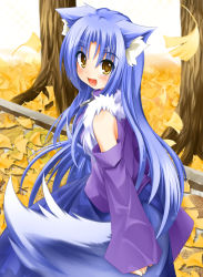Rule 34 | 1girl, animal ears, autumn leaves, blue hair, blush, casual, detached sleeves, leaf, long hair, looking at viewer, looking back, open mouth, original, solo, tachi yure, tail, tree, wolf ears, wolf tail, yellow eyes
