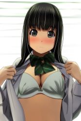 Rule 34 | 1girl, absurdres, backlighting, black eyes, black hair, window blinds, blush, bow, bow bra, bra, breasts, cleavage, closed mouth, day, diagonal stripes, green bow, highres, long hair, long sleeves, looking at viewer, matsunaga kouyou, medium breasts, nose blush, open clothes, open shirt, original, shirt, solo, striped, striped bow, sunlight, underwear, white bra, white shirt