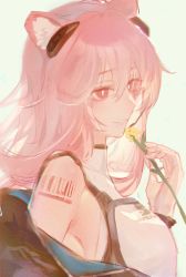 Rule 34 | 1girl, animal ears, arknights, atianshi, blush, bright pupils, flower, from side, gravel (arknights), hair between eyes, headgear, highres, holding, holding flower, off shoulder, pale color, parted lips, pink eyes, pink hair, shoulder tattoo, simple background, smile, solo, tattoo, upper body, white background, white pupils, yellow flower
