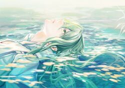 Rule 34 | 1other, afloat, androgynous, cangchen, closed mouth, enkidu (fate), fate/grand order, fate (series), from side, green eyes, green hair, hair between eyes, highres, light particles, long hair, looking up, other focus, plant, profile, robe, solo, upper body, water, water drop, white robe