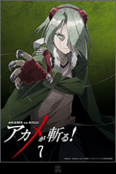 Rule 34 | 10s, 1boy, akame ga kill!, gloves, goggles, green eyes, green hair, jacket, lowres, lubbock, official art, string