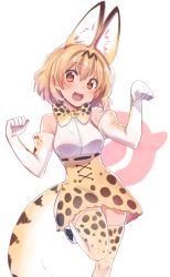 Rule 34 | 10s, 1girl, animal ears, asa (coco), bare shoulders, blonde hair, elbow gloves, gloves, japari symbol, kemono friends, looking at viewer, open mouth, serval (kemono friends), serval print, serval tail, short hair, sleeveless, standing, standing on one leg, tail, thighhighs