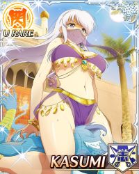 Rule 34 | arabian clothes, belly dancer, bracelet, breasts, cleavage, earrings, harem outfit, jewelry, kasumi (senran kagura), large breasts, licking lips, long hair, mouth veil, navel, official art, purple eyes, purple hair, senran kagura, senran kagura new wave, thigh grab, tongue, tongue out, veil, wrestling