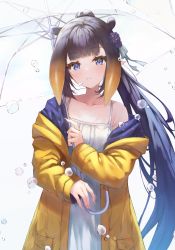 Rule 34 | 1girl, absurdres, armpit crease, black hair, blue coat, blue eyes, blunt bangs, bubble, coat, collarbone, commentary, dress, english commentary, fingernails, flower, gradient hair, hair flower, hair ornament, hair ribbon, head tilt, high ponytail, highres, holding, holding umbrella, hololive, hololive english, ijac ray, long hair, long sleeves, looking at viewer, multicolored hair, ninomae ina&#039;nis, off shoulder, open clothes, open coat, orange hair, parted lips, pocket, pointy ears, purple flower, raincoat, ribbon, sidelocks, simple background, single bare shoulder, solo, sundress, tentacle hair, transparent, transparent umbrella, two-sided coat, two-sided fabric, umbrella, very long hair, violet (ninomae ina&#039;nis), virtual youtuber, white background, white dress, white ribbon, yellow coat