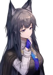 Rule 34 | 1girl, animal ear fluff, animal ears, arknights, black hair, black jacket, black vest, blue eyes, blue gloves, breasts, closed mouth, collared shirt, commentary request, ear piercing, fingerless gloves, gloves, hand up, highres, jacket, jacket on shoulders, long hair, medium breasts, oyatsuming, piercing, shirt, solo, texas (arknights), texas the omertosa (arknights), upper body, vest, white shirt