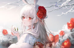 Rule 34 | 1girl, 2023, animal ears, blush, bow, branch, bush, camellia, chinese zodiac, commentary request, eyelashes, floral print, flower, hair between eyes, hair flower, hair ornament, hand up, holding, japanese clothes, kimono, kinokohime, long hair, looking at another, looking at viewer, obi, original, parted lips, portrait, print bow, print kimono, print sash, rabbit ears, red bow, red eyes, red flower, red sash, sash, seigaiha, sidelocks, snow, snow rabbit, solo, upper body, white hair, white kimono, year of the rabbit