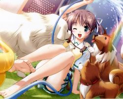Rule 34 | 1girl, barefoot, blush, dog, feet, female focus, grass, happy, outdoors, playing, rainbow, school uniform, soles, solo, toes, wink