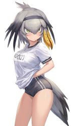 Rule 34 | 1girl, bird girl, bird tail, black buruma, black hair, blonde hair, blush, breasts, buruma, closed mouth, commentary request, cowboy shot, from side, green eyes, grey hair, guchico, gym uniform, hair between eyes, hair intakes, hairband, hand under clothes, hand under shirt, head wings, kemono friends, looking at viewer, multicolored hair, name tag, shirt, shoebill (kemono friends), short hair, short sleeves, signature, simple background, solo, tail, thighs, translated, white background, white shirt, wings