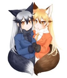 Rule 34 | 2girls, animal ear fluff, animal ears, black gloves, black skirt, blue jacket, blush, breasts, brown gloves, commentary, commentary request, ear-to-ear, extra ears, ezo red fox (kemono friends), fox ears, fox tail, fur-trimmed sleeves, fur trim, gloves, highres, holding hands, jacket, kemono friends, long hair, looking at viewer, medium breasts, morino (morino03), multiple girls, open mouth, orange jacket, silver fox (kemono friends), simple background, skirt, tail, white background