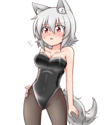 Rule 34 | 1girl, :o, animal ears, bad id, bad pixiv id, bare shoulders, black pantyhose, blush, breasts, dress, fang, flying sweatdrops, hand on own hip, highres, inubashiri momiji, large breasts, leotard, nervous, nontraditional playboy bunny, nose blush, open mouth, pantyhose, playboy bunny, red eyes, short hair, silver hair, simple background, solo, strapless, strapless dress, sumiya nadateru, tail, touhou, wolf ears, wolf tail