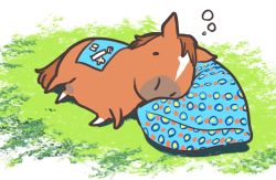 Rule 34 | admire japan (racehorse), animal focus, commentary, grass, horse, lying, no humans, on side, outdoors, pillow, real life, sleeping, squeans, tagme, takatsuki nato, yogibo