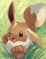 Rule 34 | animal focus, artist name, brown eyes, brown fur, commentary request, creatures (company), dot nose, eevee, game freak, gen 1 pokemon, highres, mane, nintendo, no humans, on grass, one eye closed, open mouth, pawpads, pokemon, pokemon (creature), rongai28, tail, twitter username