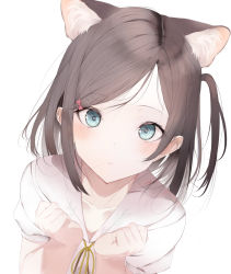 Rule 34 | 1girl, absurdres, animal ear fluff, animal ears, blue eyes, blush, brown hair, cat ears, collarbone, commentary request, expressionless, extra ears, hands up, heart, heart-shaped pupils, hentai ouji to warawanai neko., highres, hito komoru (style), kisaragi yaya, long hair, looking at viewer, one side up, parted bangs, parted lips, puffy short sleeves, puffy sleeves, shirt, short sleeves, simple background, solo, symbol-shaped pupils, tsutsukakushi tsukiko, white background, white shirt