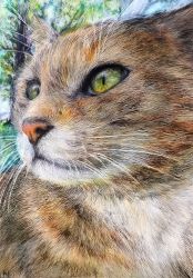 Rule 34 | absurdres, animal, animal ears, animal focus, bad id, bad pixiv id, calico, cat, cathead, colored pencil (medium), commentary request, highres, nekodosaiun, no humans, original, realistic, solo, traditional media