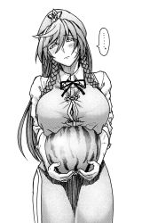 Rule 34 | 1girl, blush, braid, breast lift, breasts, china dress, chinese clothes, collared shirt, commentary, commentary request, dress, embarrassed, food, fruit, greyscale, hair between eyes, hat, holding, holding food, hong meiling, koyubi (littlefinger1988), large breasts, long hair, monochrome, muscular, muscular female, scar, shirt, simple background, sleeves rolled up, solo, star (symbol), tangzhuang, touhou, twin braids, watermelon, white background