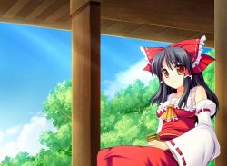 Rule 34 | 1girl, black hair, bow, breasts, brown eyes, detached sleeves, female focus, hakurei reimu, japanese clothes, maroppe, miko, nature, outdoors, plant, ribbon, sky, solo, touhou