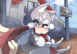 Rule 34 | 1girl, animal ear fluff, animal ears, blue eyes, blush, collar, commentary, dog (mixed breed) (kemono friends), dog ears, dog girl, dog tail, elbow gloves, gloves, grey hair, hazki3157, heterochromia, highres, holding, holding leash, kemono friends, leash, leash pull, multicolored hair, partially translated, short hair, short sleeves, tail, translation request, two-tone hair, viewer holding leash, white hair, yellow eyes