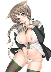 Rule 34 | 1girl, animal ears, blue eyes, braid, breasts, brown hair, cat ears, cat tail, clothing aside, female pubic hair, huge breasts, jingi sukan, jingisukan, long hair, lynette bishop, panties, panties aside, pubic hair, pussy, single braid, solo, strike witches, tail, thighhighs, uncensored, underwear, world witches series