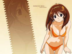 Rule 34 | bikini, nanase narue, narue no sekai, orange bikini, solo, swimsuit, tagme, wallpaper