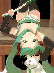 Rule 34 | 1girl, bad id, bad pixiv id, cat, detached sleeves, green eyes, green hair, hatsune miku, kouno (masao), long hair, lying, matching hair/eyes, necktie, on back, panties, smile, solo, spring onion, striped clothes, striped panties, tank top, thighhighs, twintails, underwear, very long hair, vocaloid