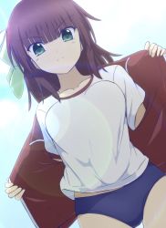 Rule 34 | 1girl, absurdres, angel beats!, blue buruma, blunt bangs, blush, bow, brown hair, buruma, closed mouth, collarbone, dutch angle, green bow, green eyes, gym uniform, hair bow, highres, jacket, lelie (lelie link), long hair, looking at viewer, open clothes, open jacket, red jacket, shirt, short sleeves, solo, standing, thigh gap, undressing, white background, white shirt, yuri (angel beats!)