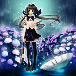 Rule 34 | 1girl, black footwear, black thighhighs, brown eyes, brown hair, floating hair, flower, full body, glowing, hair ribbon, hydrangea, instrument, long hair, low twintails, mary janes, memories off, memories off 2nd, parted lips, plaid, plaid skirt, rail (silverbow), rain, ribbon, school uniform, shirakawa hotaru, shoes, skirt, solo, source request, standing, standing on liquid, thighhighs, twintails, umbrella, violin, water, zettai ryouiki