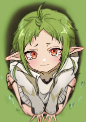 Rule 34 | 1girl, absurdres, ahoge, asteroid1333, closed mouth, elf, from above, green hair, highres, hood, hooded jacket, jacket, looking up, mushoku tensei, on grass, pointy ears, red eyes, seiza, shirt, short hair, sitting, solo, sylphiette (mushoku tensei), tearing up, white jacket, white shirt