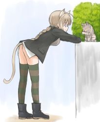 Rule 34 | 1girl, ahoge, animal ears, ass, black bow, black footwear, black jacket, blue eyes, boots, bow, braid, brown hair, brown thighhighs, bush, cat, cat ears, cat tail, closed mouth, commentary, day, elbow rest, from side, green eyes, green thighhighs, hair bow, jacket, leaning forward, light brown background, long hair, long sleeves, lynette bishop, multicolored clothes, multicolored legwear, mutsu (layergreen), no pants, outdoors, single braid, smile, solo, strike witches, striped clothes, striped thighhighs, tail, thighhighs, world witches series