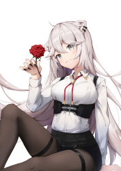 Rule 34 | 1girl, absurdres, ahoge, animal ears, bad id, bad twitter id, black nails, black pantyhose, black shorts, breasts, closed mouth, collared shirt, commentary, corset, ear piercing, eyes visible through hair, fingernails, flower, grey eyes, hair between eyes, highres, holding, holding flower, hololive, knee up, large breasts, lion ears, long hair, long sleeves, looking at viewer, nail polish, pantyhose, piercing, red flower, red rose, rose, sharp fingernails, shirt, shishiro botan, shishiro botan (button-down), short shorts, shorts, shyi, silver hair, simple background, sitting, solo, thigh strap, very long hair, virtual youtuber, white background, white shirt