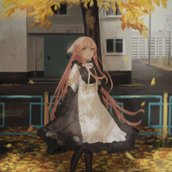 Rule 34 | 1girl, :d, apron, autumn leaves, black dress, black jacket, black pantyhose, blurry, blurry background, blush, brown eyes, building, chihuri, commentary request, depth of field, door, dress, ear piercing, earrings, feet out of frame, hair ribbon, highres, jacket, jewelry, juliet sleeves, long hair, long sleeves, off shoulder, open clothes, open jacket, open mouth, original, outdoors, pantyhose, piercing, pink hair, ponytail, puffy sleeves, ribbon, shirt, sidelocks, sleeveless, sleeveless dress, smile, solo, standing, stud earrings, tree, very long hair, waist apron, white apron, white ribbon, white shirt, window, yana (chihuri)
