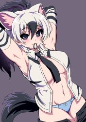 Rule 34 | 1girl, aardwolf (kemono friends), aardwolf print, animal ear fluff, animal ears, animal print, armpits, arms behind head, arms up, black eyes, black hair, black necktie, black shorts, bow, bow panties, closed mouth, clothes pull, collared shirt, cowboy shot, dutch angle, elbow gloves, extra ears, gloves, grey background, grey hair, hair between eyes, high ponytail, highres, kemono friends, long hair, looking at viewer, mamiyama, medium hair, mouth hold, multicolored hair, navel, necktie, no bra, open clothes, open fly, open shirt, open shorts, panties, print gloves, print shirt, shirt, shorts, shorts pull, simple background, sleeveless, sleeveless shirt, solo, stomach, tail, two-tone hair, tying hair, unbuttoned, underwear, wing collar