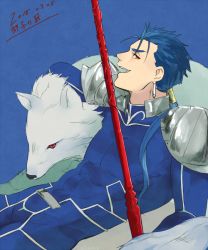 Rule 34 | 1boy, bad id, bad pixiv id, blue hair, cu chulainn (fate), cu chulainn (fate/stay night), fate/stay night, fate (series), gae bolg (fate), male focus, polearm, ponytail, pukkun-apple, red eyes, simple background, solo, spear, weapon, wolf