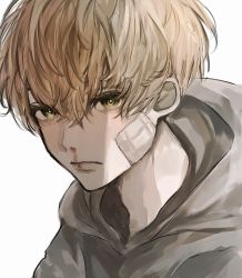 Rule 34 | 1boy, bad id, bad twitter id, bandaid, bandaid on face, blonde hair, blood, blood on face, closed mouth, green eyes, grey hoodie, hair between eyes, highres, hood, hood down, hoodie, inuo (inuo x), looking at viewer, male focus, matsuno chifuyu, nosebleed, portrait, simple background, solo, tokyo revengers, upper body, white background