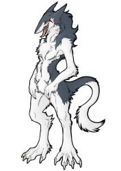 Rule 34 | androgynous, animal ears, claws, fangs, flat chest, full body, furry, gender request, long tongue, multicolored hair, open mouth, rain silves, sergal, simple background, solo, standing, tail, tongue, tongue out, trancy mick, white background, yellow eyes