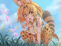 Rule 34 | 1girl, animal ears, bare shoulders, blonde hair, blush, bow, bowtie, cat ears, cat girl, cat tail, elbow gloves, fang, gloves, high-waist skirt, highres, icorasama, kemono friends, looking at viewer, open mouth, print bow, print bowtie, print gloves, print skirt, print thighhighs, serval (kemono friends), serval print, shirt, short hair, skirt, sleeveless, squatting, tail, thighhighs, translation request, white shirt, yellow eyes, zettai ryouiki