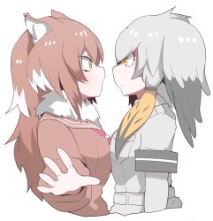 Rule 34 | 10s, 2girls, animal ears, arm at side, black hair, breast pocket, breast press, brown hair, closed mouth, collared shirt, empty eyes, eye contact, fur collar, grey hair, grey shirt, hand up, hifumitaka, japanese wolf (kemono friends), kemono friends, layered sleeves, long hair, long sleeves, looking at another, low ponytail, multicolored hair, multiple girls, open mouth, orange eyes, orange hair, outstretched arm, outstretched hand, pocket, sailor collar, shirt, shoebill (kemono friends), short over long sleeves, short sleeves, side ponytail, simple background, spread fingers, sweater, symmetrical docking, tsurime, two-tone hair, upper body, white background, white hair, wolf ears