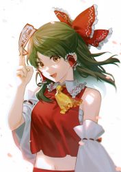 Rule 34 | 1girl, ascot, bandages, bare shoulders, between fingers, black hair, bow, breasts, brown eyes, collared shirt, detached sleeves, eyes visible through hair, frills, hair ornament, hair tubes, hakurei reimu, half updo, hand up, highres, holding, light, long sleeves, looking at viewer, medium breasts, medium hair, navel, noriuma, ofuda, ofuda between fingers, open mouth, petals, red bow, red shirt, red skirt, sarashi, shirt, simple background, skirt, smile, solo, teeth, tongue, touhou, white background, wide sleeves, yellow ascot