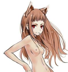 Rule 34 | 1girl, animal ears, blush stickers, breasts, brown hair, female focus, holo, koshochka, long hair, looking at viewer, nipples, nude, perky breasts, red eyes, small breasts, solo, spice and wolf, white background