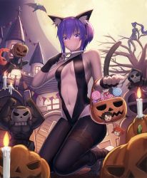 Rule 34 | 3boys, 3girls, animal ears, assassin (fate/zero), bare shoulders, barefoot, belt, black gloves, black legwear, breasts, candle, candy, cat ears, cat tail, center opening, church, dark skin, dark-skinned female, fake animal ears, fake tail, fate/grand order, fate (series), feet, female assassin (fate/zero), fingerless gloves, flag, food, fujimaru ritsuka (female), fujimaru ritsuka (male), gloves, halloween, halloween bucket, halloween costume, hassan of serenity (fate), hassan of the cursed arm (fate), highres, holding, holding weapon, king hassan (fate), kunai, looking at viewer, moon, multiple boys, multiple girls, night, night sky, ponytail, pumpkin, purple eyes, purple hair, short hair, sky, suraimu (suraimuraimu), tail, weapon