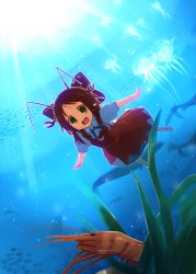 Rule 34 | 1girl, :d, alternate color, alternate element, antennae, bad id, bad pixiv id, bow, brown eyes, cirno, dress, ebiebiebio, fairy, hair bow, jellyfish, looking at viewer, open mouth, outstretched arms, red dress, red hair, ribbon, short hair, shrimp, smile, solo, spread arms, touhou, underwater