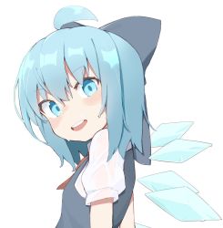 Rule 34 | 1girl, ahoge, blue bow, blue dress, blue eyes, blue hair, blue wings, bow, cirno, dress, hair bow, highres, ice, ice wings, kae karee, looking at viewer, medium hair, puffy short sleeves, puffy sleeves, shirt, short sleeves, sleeveless, sleeveless dress, smile, solo, touhou, upper body, wet, wet clothes, white shirt, wings